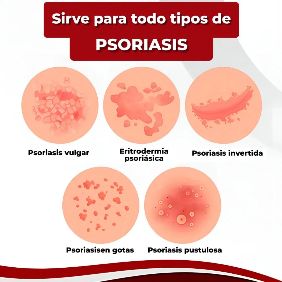 Encabezado