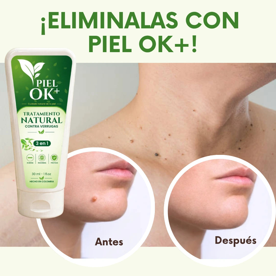 Encabezado