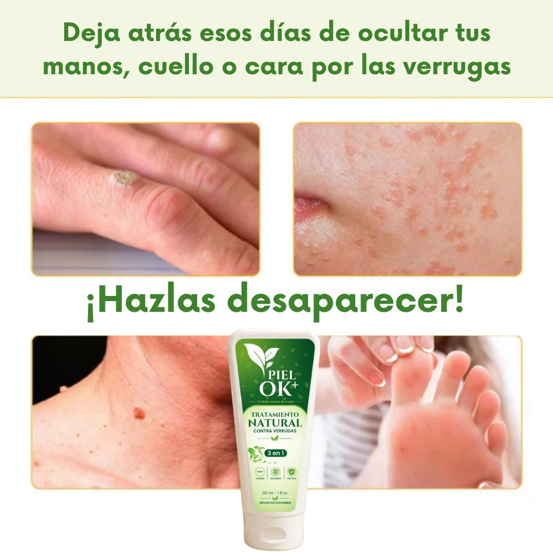 Encabezado